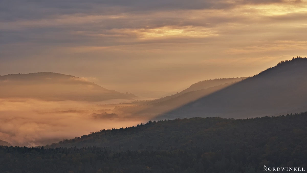 sonnenaufgang im pfälzerwald mit nebel an den hängen, geduld als merkmal zum fotografieren lernen