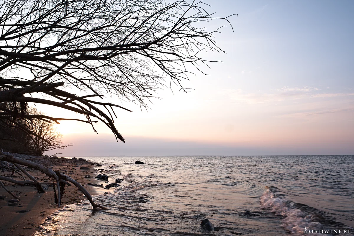 sonnenuntergang fotografieren mit belichtungsreihe ausgangsbild, an der ostsee mit baum am strand