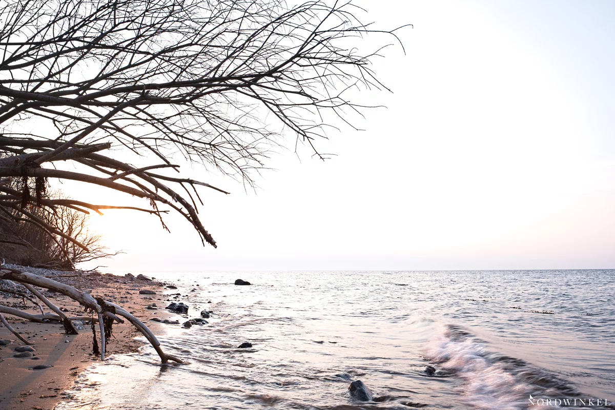 sonnenuntergang fotografieren mit belichtungsreihe vordergrund zu erkennen sonne und himmel weiß, an der ostsee mit baum am strand