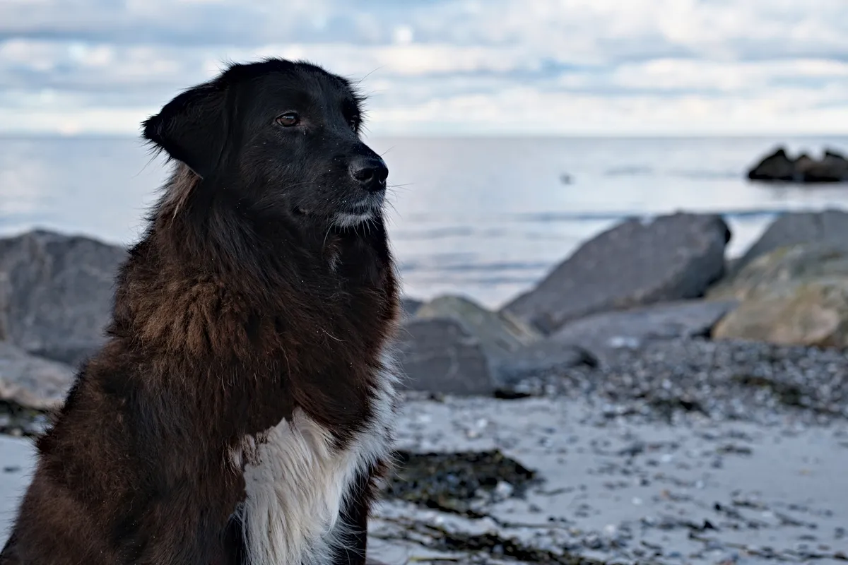 ronja am strand